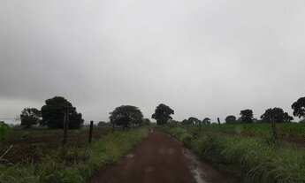 Imagem 14: Venda Fazenda Municipal Jangada, 1.300 hectares, Topografia Plana Levemente Ondulada - MT