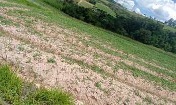 Imagem 2: Vendo terreno com energia na porta e poço artesiano