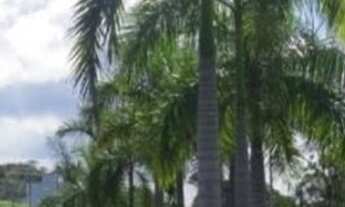 Imagem 3: Lote Alphaville litoral norte 2