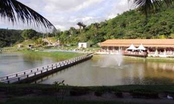 Imagem 6: Bananeiras Lotes Águas da Serra