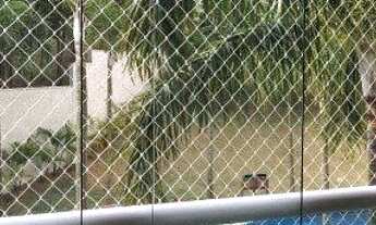 Imagem: Apartamento para aluguel tem 201 metros