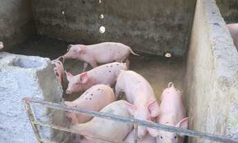 Imagem 5: Cachoeiras de Macacu Rio x Friburgo 18ha