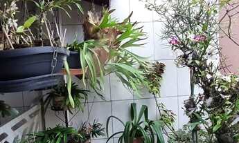 Imagem 6: SOBRADO COM 2 DORMITÓRIOS PROXIMO AO CLUBE RECREATIVO CERET