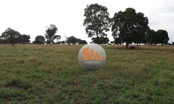 Imagem 3: Fazenda com 2 dormitórios à venda, 5662800 m² por R$ 24.000.000,00 - Zona Rural - Araguapa