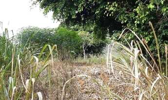 Imagem 5: Sítio à venda, 24000 m² por R$ 350.000 - Cerejeira - Guararema/SP