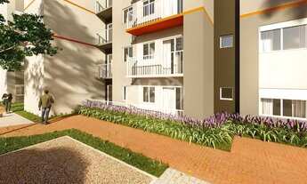 Imagem 7: CANOAS - Padrão - Igara