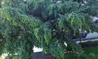 Imagem 7: Ap para mobiliado aluguel com 77 m² sendo 3 quartos 1 suíte, em Mooca - São Paulo - SP