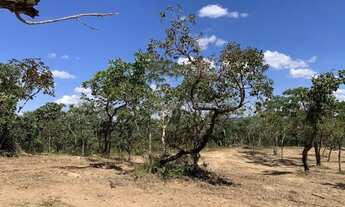 Imagem 3: Chácara 9000m², Energia, Terra de Cultura, Linda Vista, 600m Rod, 4km Aragoiânia