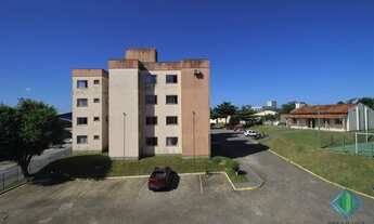 Imagem 6: SãO JOSé - Padrão - Serraria