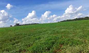 Imagem 4: Fazenda 80 alq em Leopoldo de Bulhões
