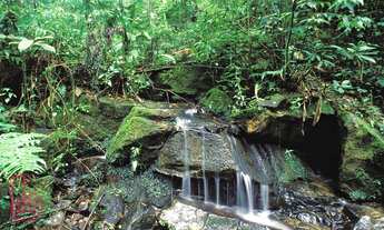 Imagem 5: Casa com 5 dormitórios, 600 m² - venda por R$ 6.210.000,00 ou aluguel por R$ 35.600,00/mês