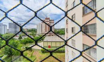 Imagem 5: Apartamento para Aluguel - Nova Petrópolis, 2 Quartos, 53 m2