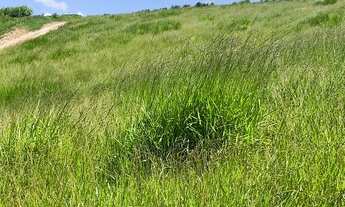 Imagem 2: Lotes de 500m² Terreno / lote com venda por R$50.000