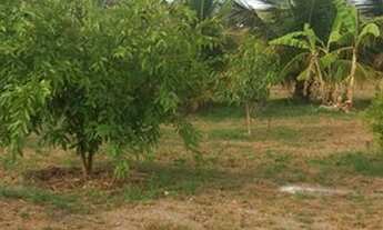 Imagem 6: Vende-se ou troca Chácara