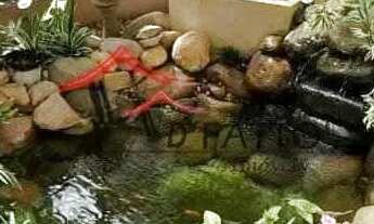 Imagem 7: Excelente casa na vila rocha