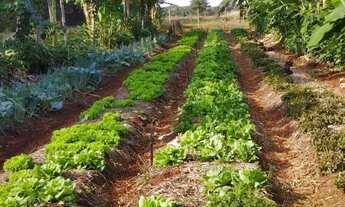 Imagem 5: Condomínio Florestal Florata - Cond. Florestal Florata: primeira ou segunda residência? Ou