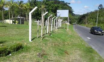 Imagem 2: Terreno na pista da AM010, Km 51 com 1.000.000m2 - 860 mts de frente. 8 fontes de água. Do