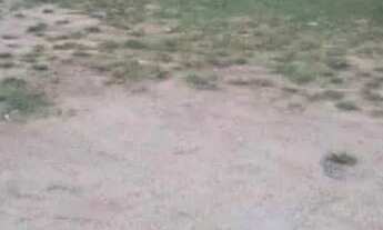 Imagem 2: Terreno em Santa Teresinha