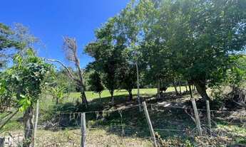 Imagem 5: Imperdível Fazenda / sítio com venda por R$1.000.000