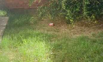 Imagem 2: Para vender logo