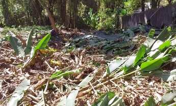 Imagem 5: Terreno à venda, 1459 m² por R$ 600.000,00 - Granja Viana - Cotia/SP