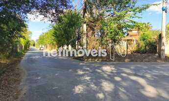 Imagem 3: LOTE PLANO BAIRRO ARBORIZADO