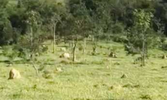 Imagem 2: Chácara em condomínio perto de Belo Horizonte