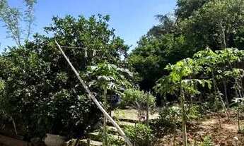 Imagem: Vendo casa de barbada