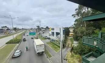 Imagem 3: EXCELENTE TERRENO A VENDA AO LADO DA AVIPEC NO BACACHERI!