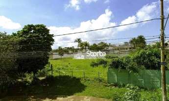 Imagem 3: Área à venda, 1975 m² por R$ 2.350.743,75 - Morada da Colina - Uberlândia/MG