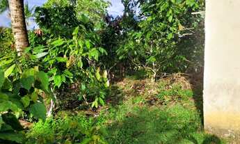 Imagem 2: Vendo sítio em Valença Bahia