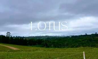 Imagem 5: COTIA COM PREÇOS PROMOCIONAIS