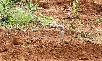 Imagem 3: Lote 26 de Setembro