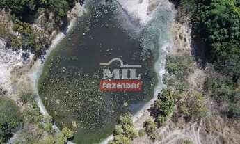 Imagem 4: Fazenda 45 alqueires (217,8 hectares) Araguapaz - Go