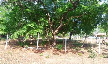 Imagem 6: Lote área rural chacaras