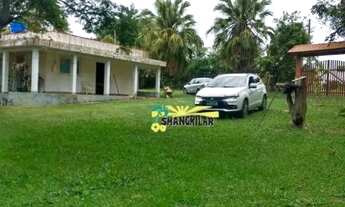 Imagem 6: Sítio com 3 dormitórios à venda, 4000 m² por R$ 450.000 - Cruz de Cedro - Quadra/SP