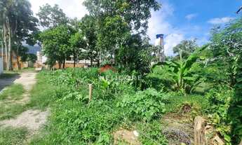 Imagem 7: Lote em Rua Tenente José Maria Pinto Duarte - Maranduba - Ubatuba/SP