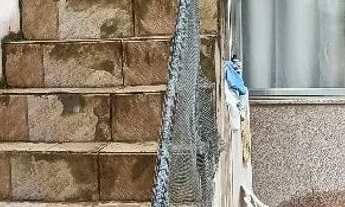 Imagem 2: Vendo 2 casas Casa com 2 dormitórios