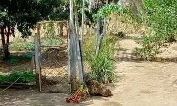 Imagem 4: SITIO ACORIZAL MT