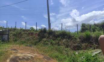 Imagem: Lote em Iconha