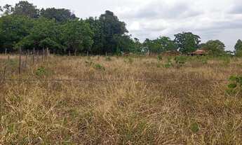 Imagem 4: Vendo uma chácara de 1000 MTS