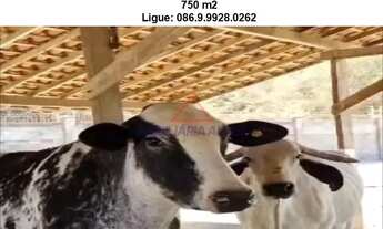 Imagem 7: Terreno em Zona Rural - Teresina