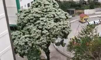 Imagem 6: Apartamento para venda tem 50.90m2 com 2 quartos em Jardim Peri - São Paulo - SP