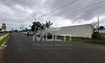 Imagem: Area - ALTO UMUARAMA