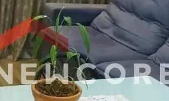 Imagem 2: Apartamento em Rua Doze de Maio - Vila Galvão - Guarulhos/SP