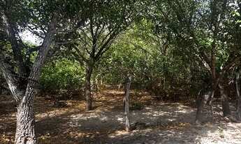 Imagem 2: VENDO CASA EM SOBRADINHO - BARREIRINHAS/MA