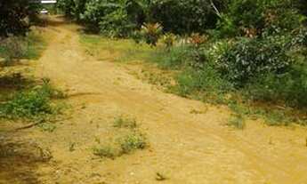 Imagem 7: Fazenda em são josé da vitória