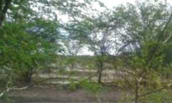 Imagem 3: Fazenda oportunidade