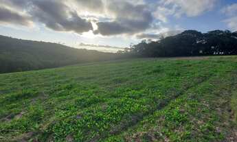 Imagem 6: Òtima oportunidade , Lote/Terreno 500m²