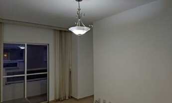 Imagem: Jabuticabeiras